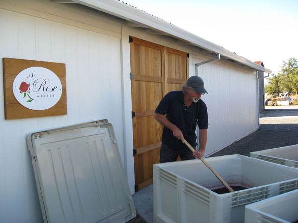 Punching down the must - St. Rose Winery