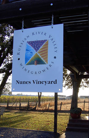 Nunes Vineyard